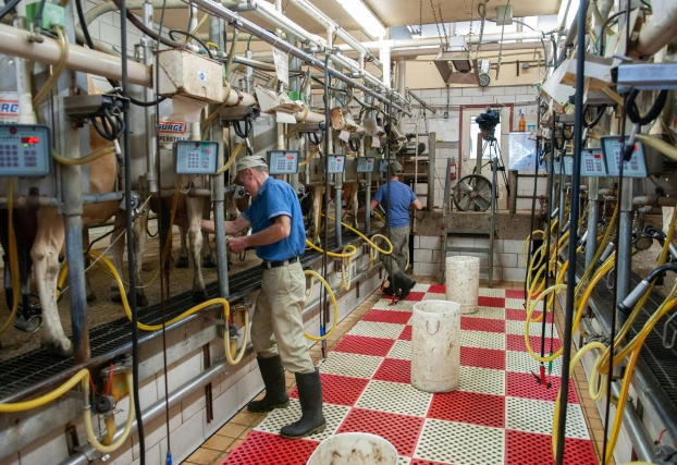 Consultoria em inventário de fauna da Ênfase Consultoria Ambiental Ltda