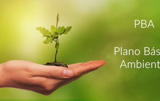Plano Básico Ambiental (PBA) da Ênfase Consultoria Ambiental Ltda