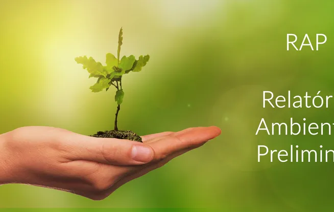 Relatório Ambiental Preliminar (RAP) da Ênfase Consultoria Ambiental Ltda