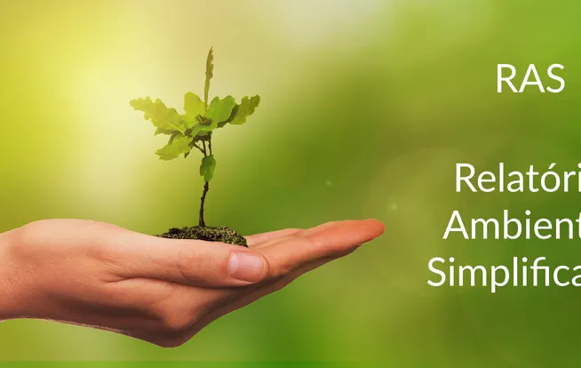 Relatório Ambiental Simplificado (RAS) da Ênfase Consultoria Ambiental Ltda