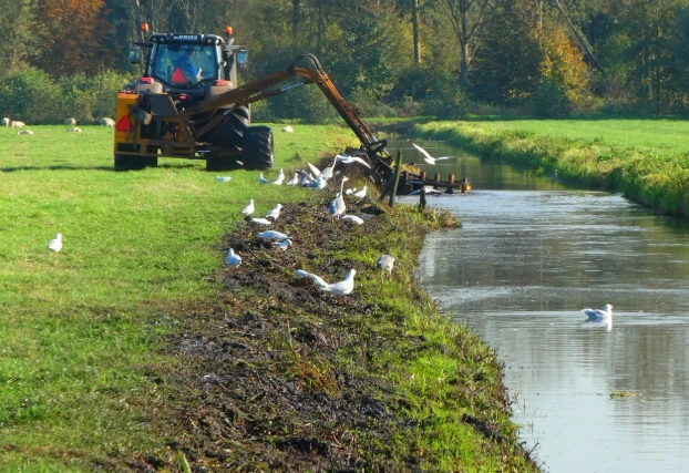 Obras de dragagem e desassoreamento da Ênfase Consultoria Ambiental