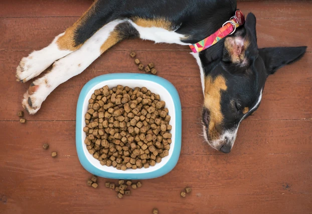 Produção de ração animal da Ênfase Consultoria Ambiental