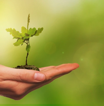Consultoria em licenciamento ambiental e a redução de riscos ambientais da Ênfase Consultoria Ambiental