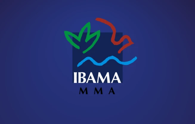 Relatório de Atividades Potencialmente Poluidoras (RAPP) - IBAMA da Ênfase Consultoria Ambiental