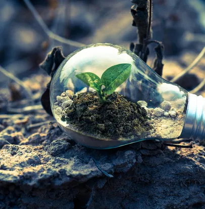 Empresa de Consultoria Ambiental da Ênfase Consultoria Ambiental