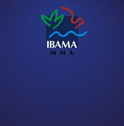 Relatório de Atividades Potencialmente Poluidoras (RAPP) - IBAMA da Ênfase Consultoria Ambiental