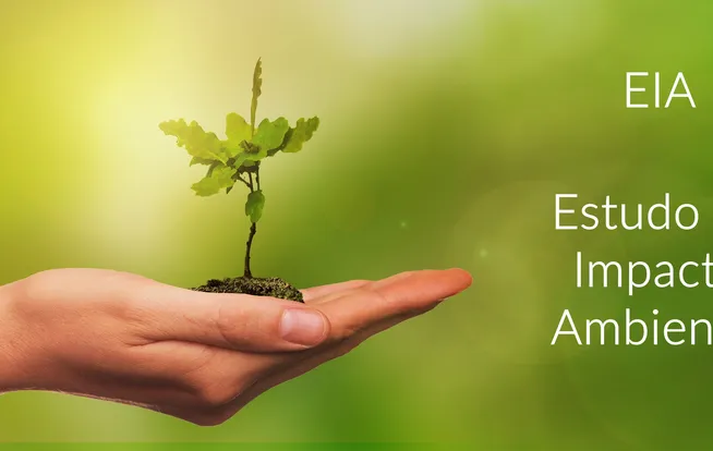 Estudos de impacto ambiental da Ênfase Consultoria Ambiental