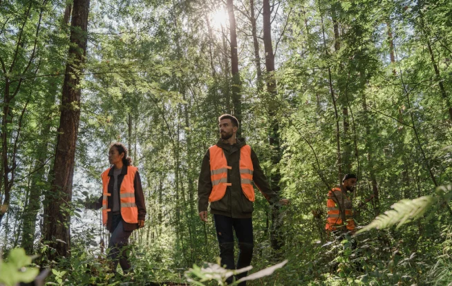 Execução de programas e projetos ambientais da Ênfase Consultoria Ambiental