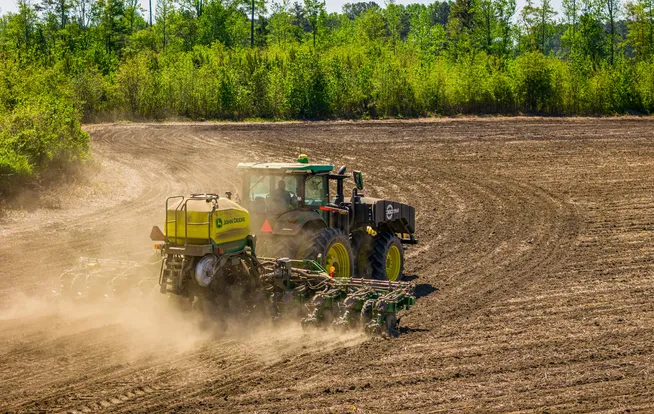 Projeto Técnico de Recomposição de Flora (PTRF) da Ênfase Consultoria Ambiental