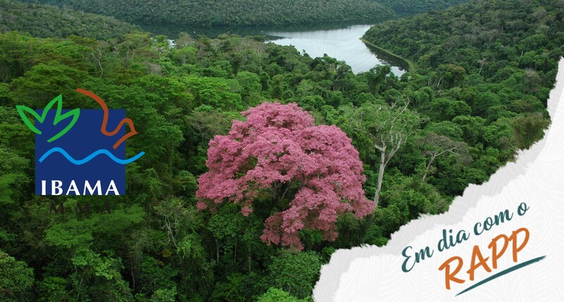 RAPP IBAMA - Relatório Anual de Atividades Potencialmente Poluidoras e Utilizadoras de Recursos Ambientais